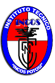 INSTITUTO INCOS POTOSI
